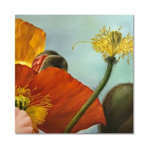 untitled, 김지아 작가