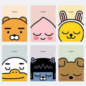 카카오프렌즈 L홀더 파일