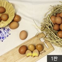 큰손 구운 계란 1판 30구 대란 만 생산 소금증정 고소한 편의점 달걀 맛집 구운란