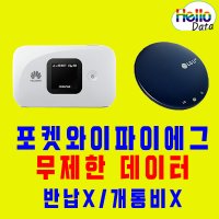 (국내전용) 한국 포켓와이파이 무약정 LTE 무제한데이터 휴대용 에그 구매