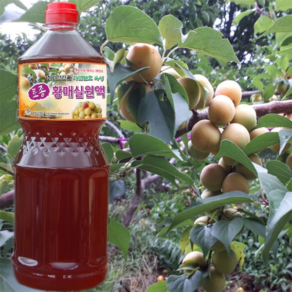 지리산산골 3년숙성 토종 매실청 1800ml 임산부 매실액 자연발효 매실 엑기스 수제 황 매실원액