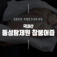 [동성탕제원]운동선수 보양식 참붕어즙 액기스 엑기스 120포 좋은것만 넣어 직접제조