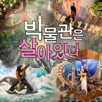 제주 박물관은 살아있다 / 제주도 중문 박물관 실내관광지 포토존