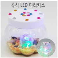 [두현과학]곡식 LED 마라카스 만들기 5인세트