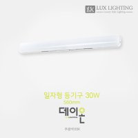 데이온 LED 일자등기구 30W