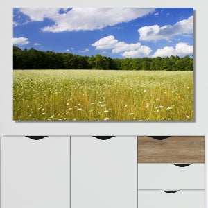 푸른하늘과 들판 도시 와이드 풍경 사진 그림 캔버스 액자 6호