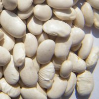 캐나다산 흰강낭콩2kg 20년산 흰강낭콩 GREAT NORTHERN BEANS