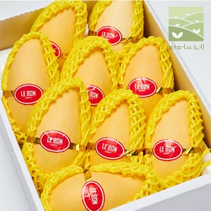 망고 태국 명품 골드망고 애플망고 마하차녹 남독마이 가정용 선물세트