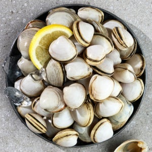 고창 자연산 동죽 5kg-물총조개 해수 해감