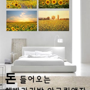 돈들어오는 재물운 금전운 해바라기액자 4종 풍수 인테리어 거실 인테리어 집들이 선물
