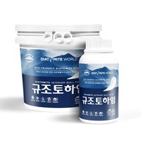 10kg 하임 규조토페인트 곰팡이 결로방지 페인트 셀프 베란다 벽지 항균 단열 방수 화이트