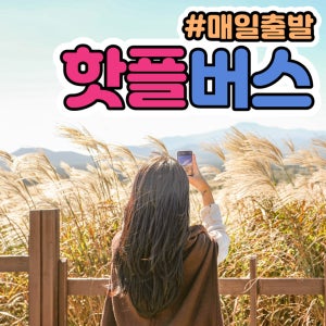 핫플트립 제주도버스투어 뚜벅이 패키지 일일여행 제주여행 액티비티 택시 투어패스 감귤체험