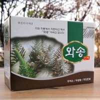 백년 와송즙(엑기스) 100ml 60팩