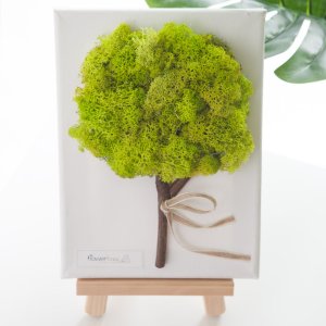 스칸디아모스 공기정화식물 액자 이젤 조명 전구트리 set 29cm 5컬러 인테리어 천연 이끼 장식 소품 테이블