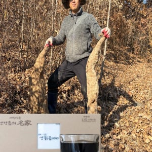 직접 캔 칡으로 갈아서 눌러짠 100% 갱년기 생칡즙 예진식품 100ml x 30포