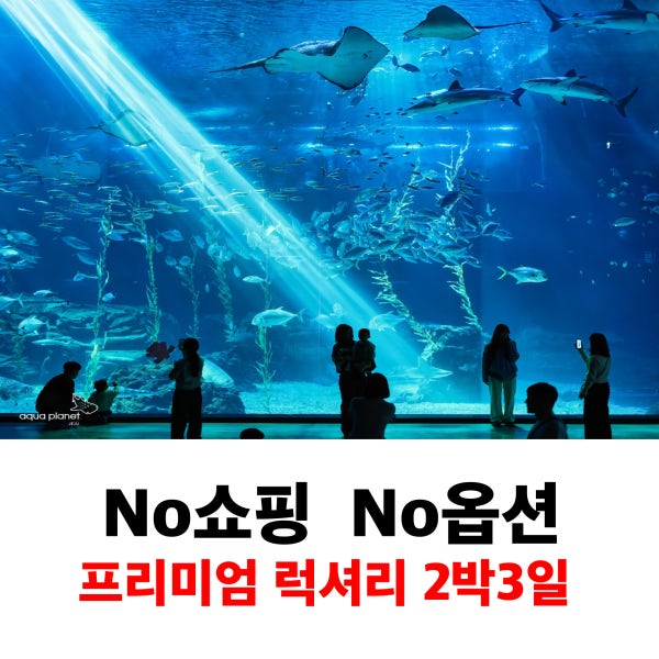 제주도패키지여행 2박3일 고급 버스투어 단체여행 노쇼핑 노옵션 효도관광 전세 미니버스대절