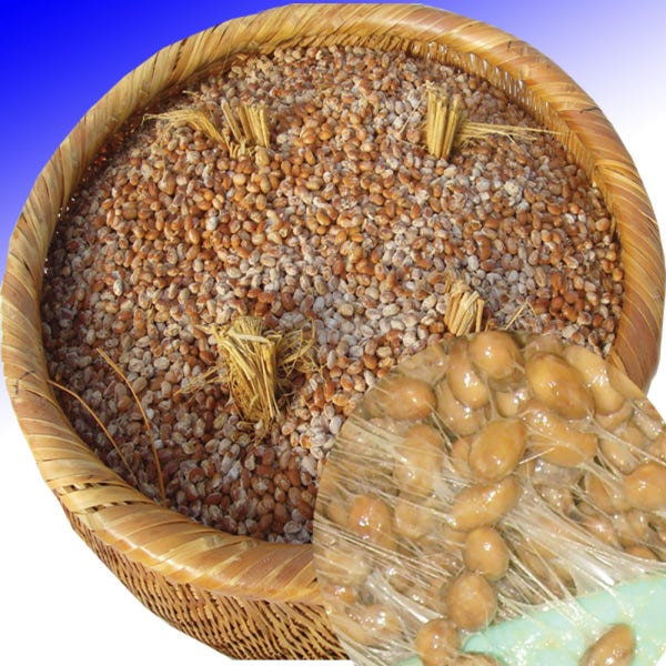 지리산산골 국산 청국장 시골집 옛날 재래식 전통 국산콩 무염 생청국장 5섯개 1kg