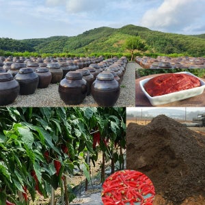 지리산산골 국산 저당 저염 찹쌀고추장 재래식 시골 집 전통 다솜고추장 1kg