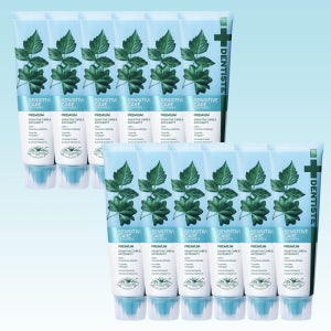 덴티스테 시린이치약 뉴센서티브 케어 튜브형 100g 12개