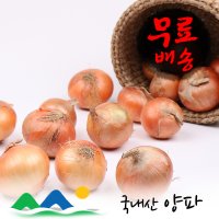 (햇)피양파 5/10kg 신선농장 국내산 피양파 생양파