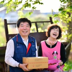 달기농장 친환경 유기농 대추 방울토마토 큰토마토 3kg
