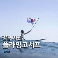 [강릉] 사천 해변 서핑 배우기 플라밍고서프 입문자 서핑 강습 렌탈