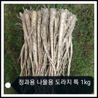 [횡성더덕, 도라지농가 직송] 토종도라지 특품1kg