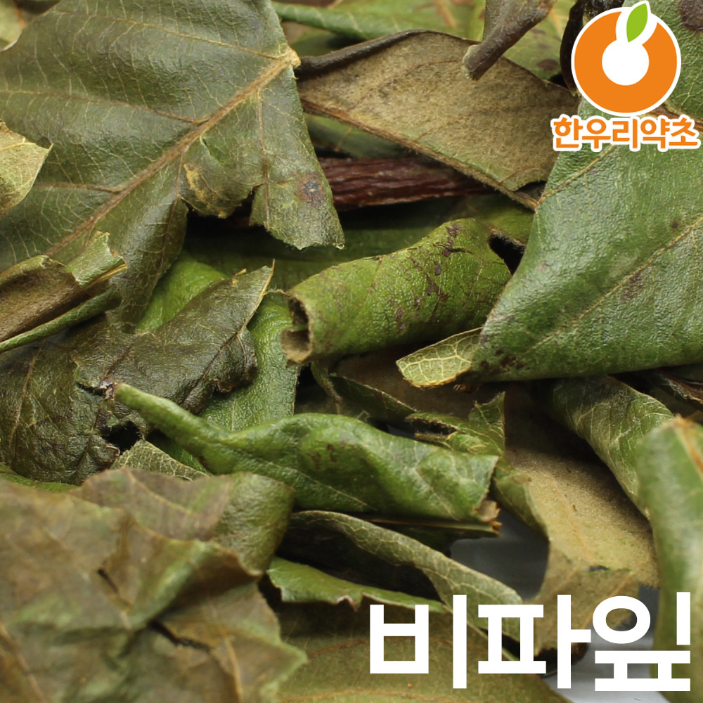 비파잎 150g 비파잎차 비파엽 먹는법