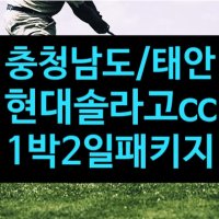 현대솔라고cc 충남골프장 태안골프장 1박2일 골프 패키지 여행