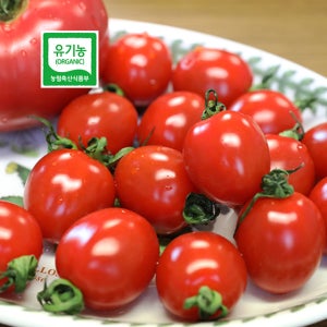 흙에서자란 친환경 유기농 대추 방울토마토 5kg