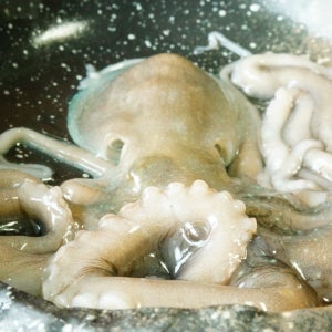 목포낙지 (중대) 산낙지 1마리