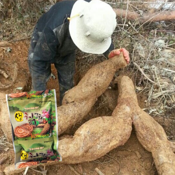 생칡즙 직접캐서만든 자연산 칡즙 30포