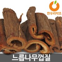 느릅나무껍질 600g 느릅나무뿌리 효능 먹는법