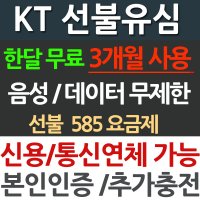 KT선불유심/ 2달 결제 한달 무료/ 무제한요금제/ 국내 심카드