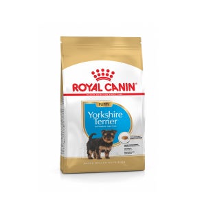 (~26년3월29일) 로얄캐닌 요크셔테리어 퍼피 1.5kg