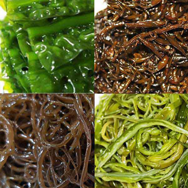 FRESH 25년 햇 쇠<b>미역</b> <b>곰피</b> 꼬시래기 <b>미역</b>줄기 1kg 포장