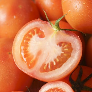 단단한 유럽종 완숙 찰 토마토 주스용 5kg