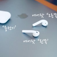 애플1세대 2세대 3세대(PRO) 에어팟 왼쪽 오른쪽 충전케이스 단품 한쪽 국내정품 당일발송