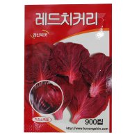 레드치커리 씨앗 치커리씨앗 900립