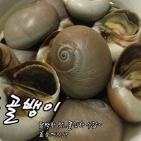 자연산 자숙 통골뱅이 5kg/생골뱅이