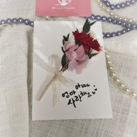 [벨라플레르] 프리저브드 카네이션 캘리그라피 카드+투명케이스 포함/시들지않는꽃