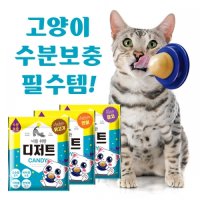 너를 위한 디저트 캔디 고양이 캔디