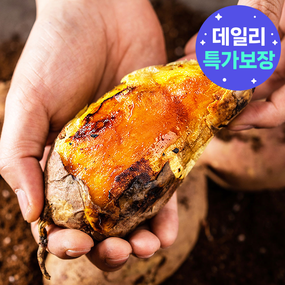 햇 고구마 밤고구마 꿀고구마 못난이 고구마 3kg 5kg 10kg