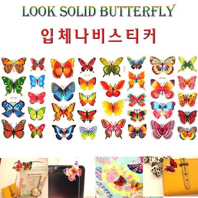 나비비 이미지