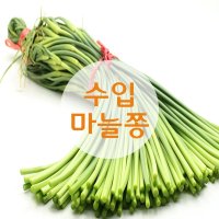 중국산 마늘쫑(수입) 1박스(8kg)