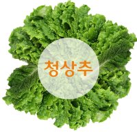 청상추 1박스(4kg) -싱싱한 당일입찰상품