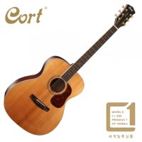 Cort - Gold-O8 / 콜트 골드시리즈 올솔리드 통기타