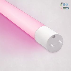 타로시 울빛 정육등 핑크 빛 직관등 20w 직결형 램프 1200mm T8