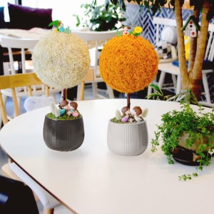 스칸디아모스 화분 실내공기정화 미세먼지먹는 공기청정 식물 35cm 집들이 선물 3XL