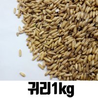 밥보야 수입 귀리 1kg